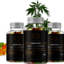 SHARK CBD - Botanical farms cbd gummies shark tank