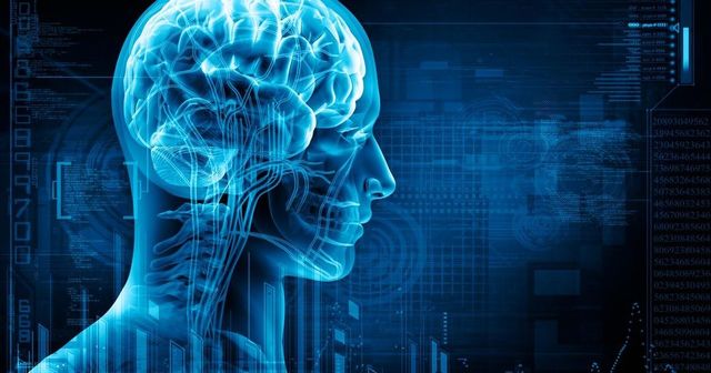 What Are The Working Principle Of Neurofy Cognitiv Picture Box