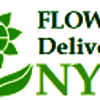 WEBSITE-LOGO-SMALL - Plants Delivery Today NYC