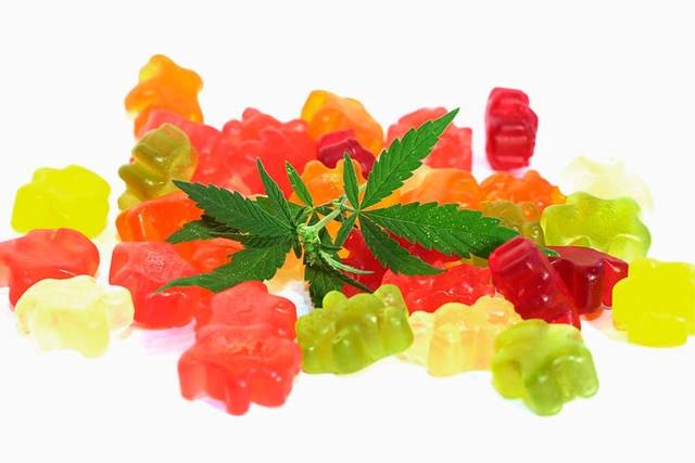 Celine Dion CBD Gummies Canada Picture Box