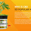 HempLeafz CBD Gummies