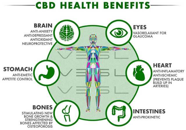 CBD Gummies What Are The Major Advantages Of Using MediGreens CBD Gummies?