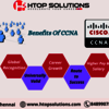 ccna htop img - Qtree Technoloogies