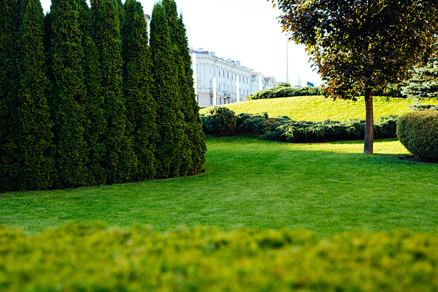 services5 William A. Scott Architects