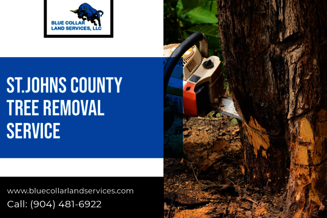 St.Johns County Tree Removal Service Blue Collar Land Services