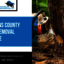 St.Johns County Tree Remova... - Blue Collar Land Services