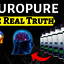 NeuroPure Reviews â€“ Shoul... - NeuroPure