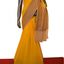 Banarasi Georgette Silk Saree - Picture Box