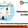 Penetration Testing as a Se... - Specialist Penetration Test...