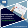 Learn Forex Trading - TreLes Technologies