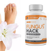 FUNGAS HACK - Fungus Hack's Uses, WORK, R...