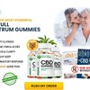 How Would You Purchase The Boulder Highlands CBD Gummies And Get Viable Limits?