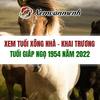 1954-xem-tuoi-xong-nha-nam-... - Tá»­ vi 2022