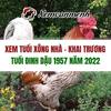 1957-xem-tuoi-xong-nha-nam-... - Tá»­ vi 2022