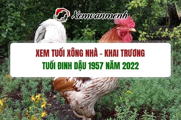 1957-xem-tuoi-xong-nha-nam-2022-tuoi-dinh-dau Tử vi 2022