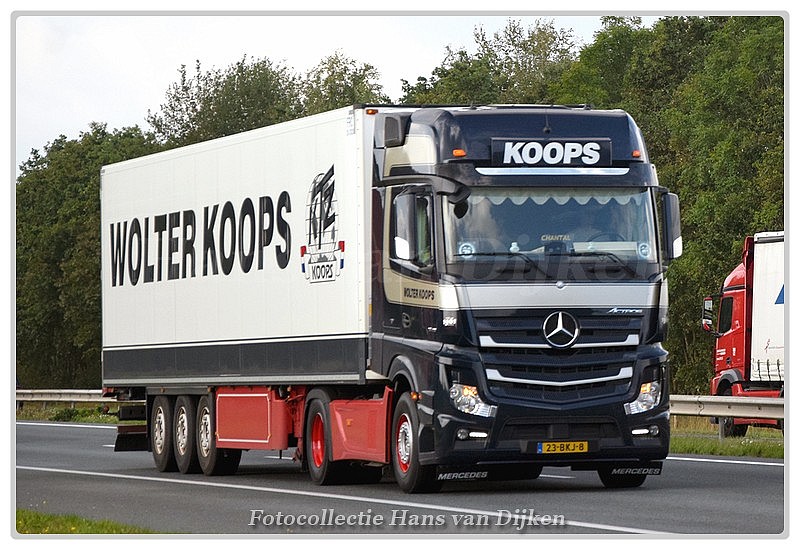 Koops Wolter 23-BKJ-8-BorderMaker - 