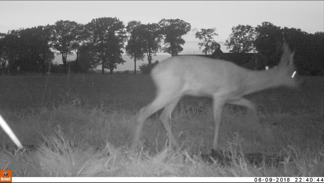 Screenshot 39 balingehofforum