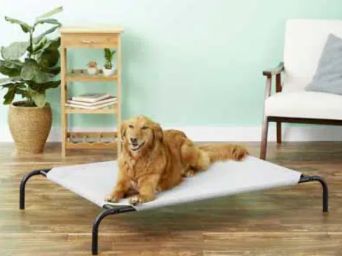 Explore The Best Selling Indestructible Dog Beds i Picture Box