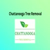 Chattanooga Tree Removal