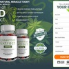 What Are The Elements Of Essential CBD Extract Gummies?