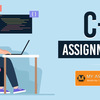 C++ Assignment Help by Top ... - My Assignment Help