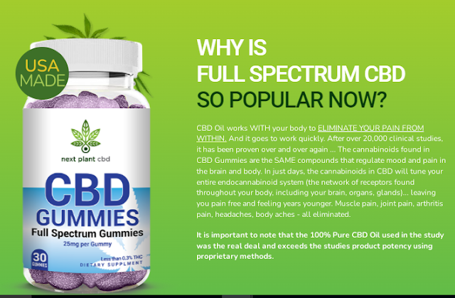 cbdbene Next Plant CBD Gummies