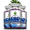 Next Plant CBD Gummies