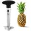 2 - Pineapple corer