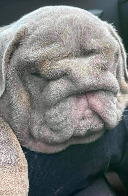 E49-FC299-CC60-4074-B027-0-A76-EBFCA930 - 