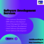 software development - Picture Box