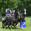  DSC4180 - balingehofforum