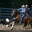  DSC9924 - balingehofforum