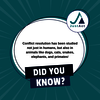 did you know - JustAct - JustAct