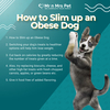 Tips and tricks on how to s... - mrnmrspets
