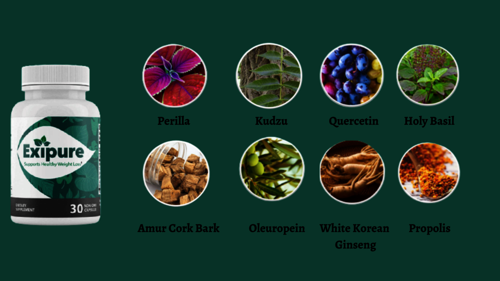 What Is Exipure? Picture Box