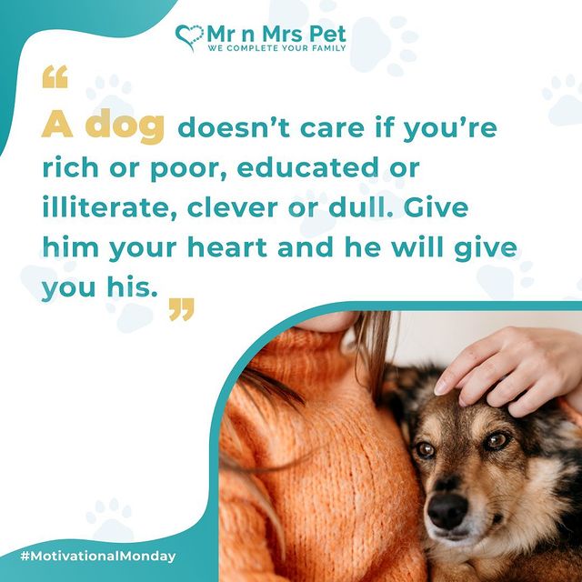 Here's a Monday Booster to kickstart the week! mrnmrspets