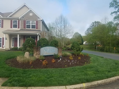 Leaf Removal Doc Bros Lawn Care