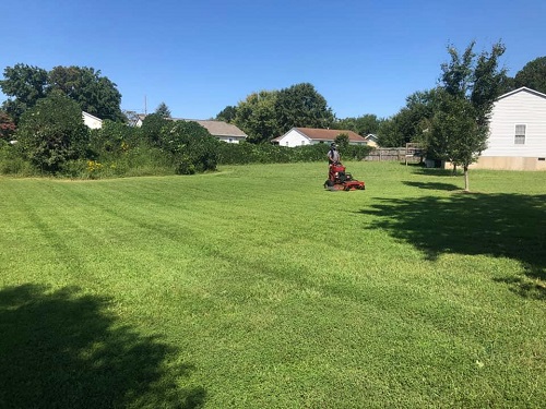 Property Clean Ups Doc Bros Lawn Care