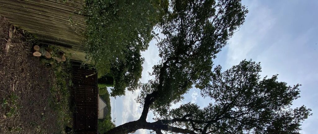 Tree Cutting Service Picture Box
