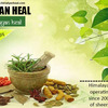 Ayurvedic Treatment  in Him... - Ayurvedic Treatment  in Him...