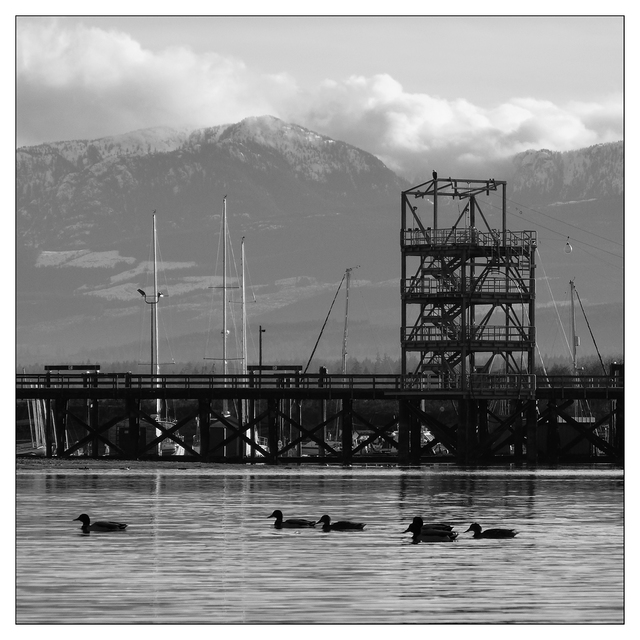 Goose Spit 2022 1 Black & White and Sepia