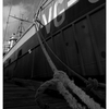 Comox Docks 2022 10 - Black & White and Sepia