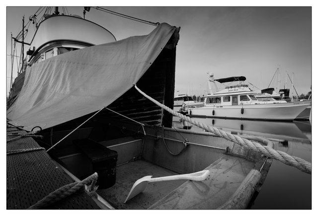 Comox Docks 2021 20 Black & White and Sepia
