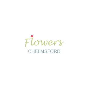 out logo chelmsford Flowers Chelmsford