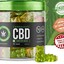 x1 (3) - Cannaleafz CBD Gummies Reviews: Best Natural Health Wellness| Where To Buy?