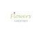 out logo chertsey - Copy - Flowers Chertsey