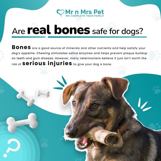 real bones are good and safe for your doggo mrnmrspets