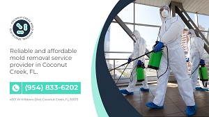 Coconut Creek Mold Removal Specialists Coconut Creek Mold removal Specialists