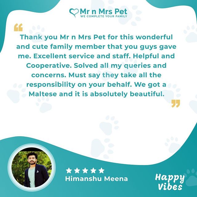 Enjoy the happy vibes of happy customers mrnmrspets
