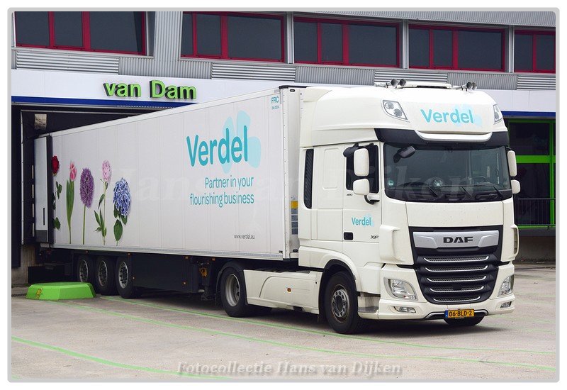 Verdel 06-BLD-2(0)-BorderMaker - 
